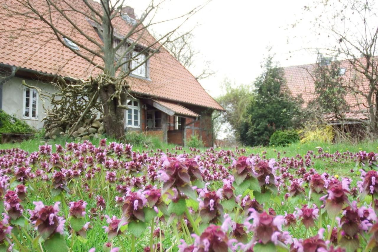 Ferienhof Rauchhaus Karft Exterior foto